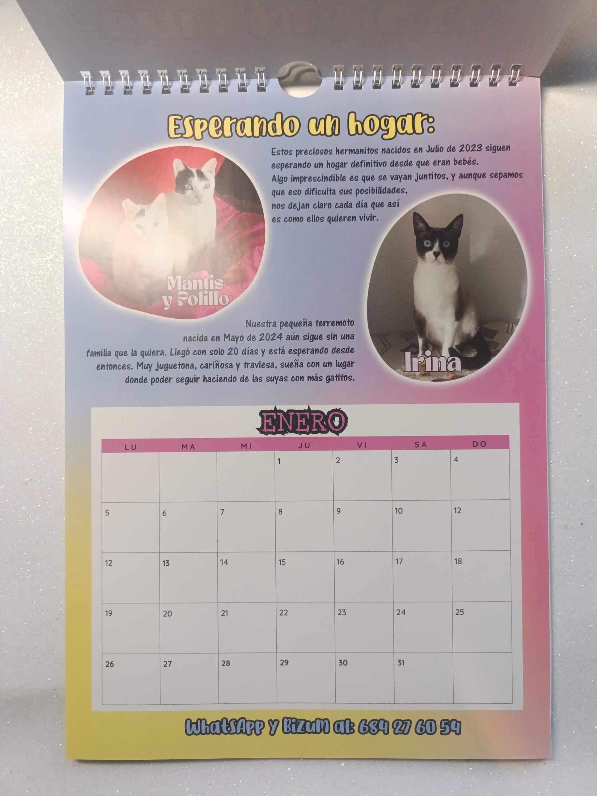 Calendario solidario 2026 - 2