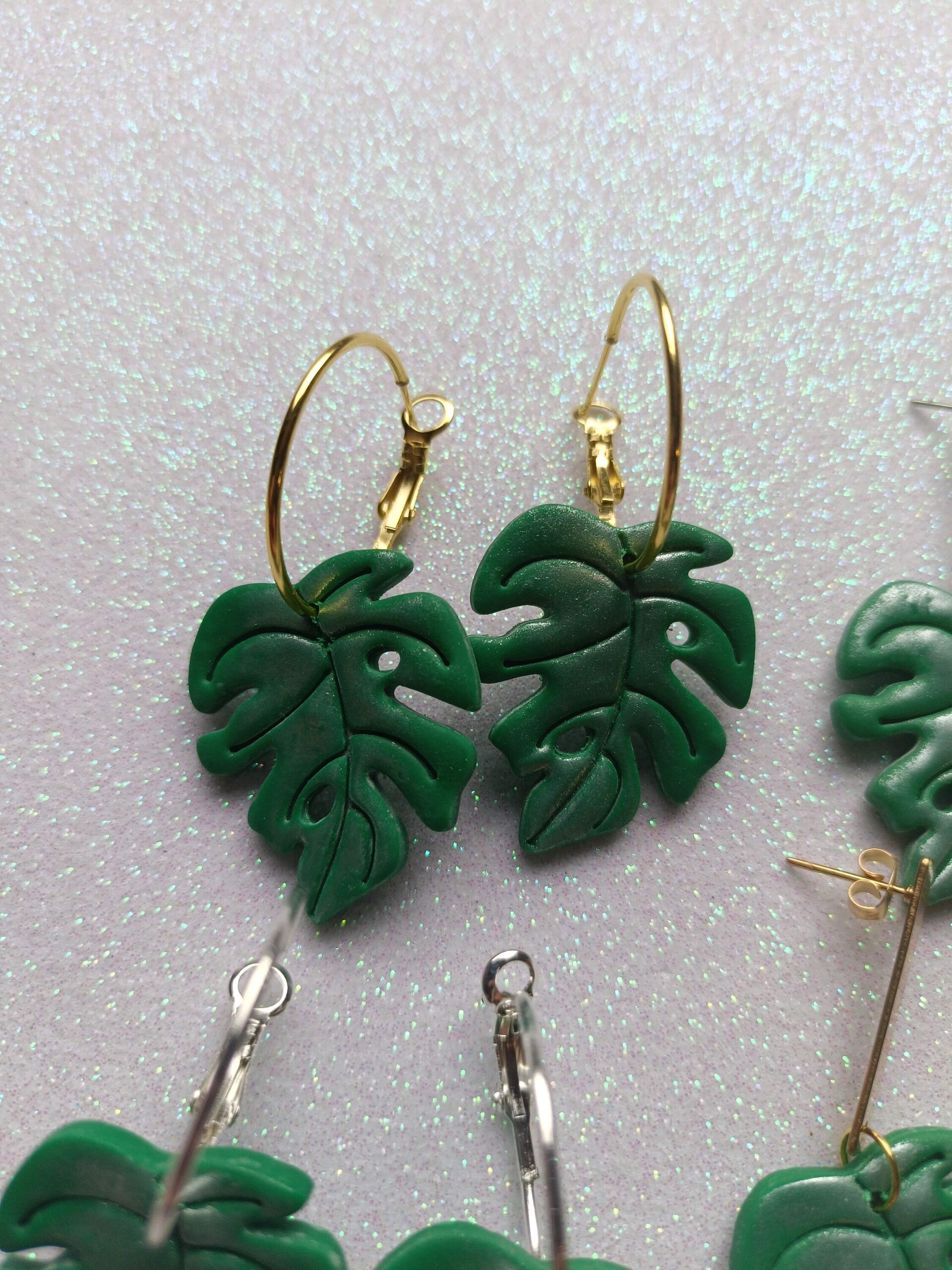 Monstera deliciosa - 6
